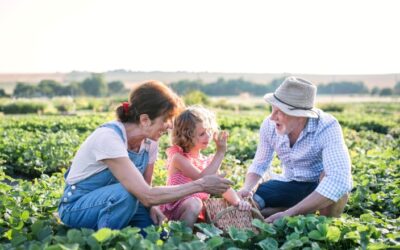 How to Teach Financial Literacy & Wisdom: A Guide to Age-Appropriate Money Conversations